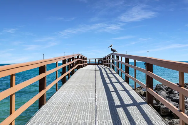 a view of a swimming pool with outdoor seating and plants