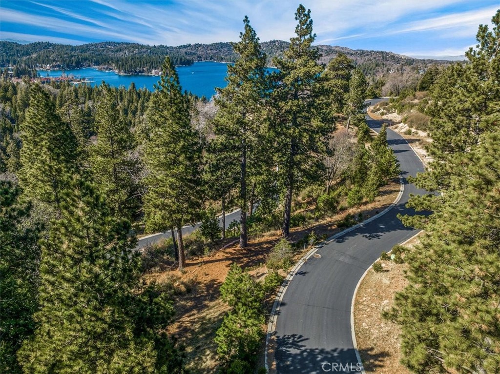 109 Mill Pond Road Lake Arrowhead, CA 92352 - Photo 24 of 43