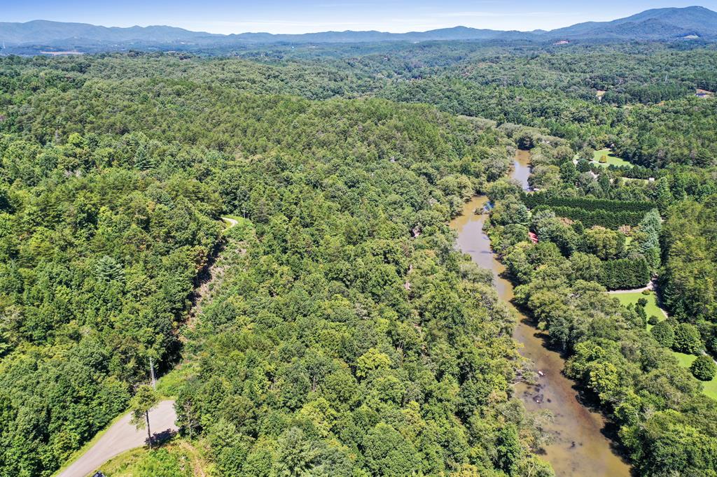 1 Riverview Circle Blue Ridge, GA 30513 - Photo 11 of 15 a view of a lush green forest with trees and some houses