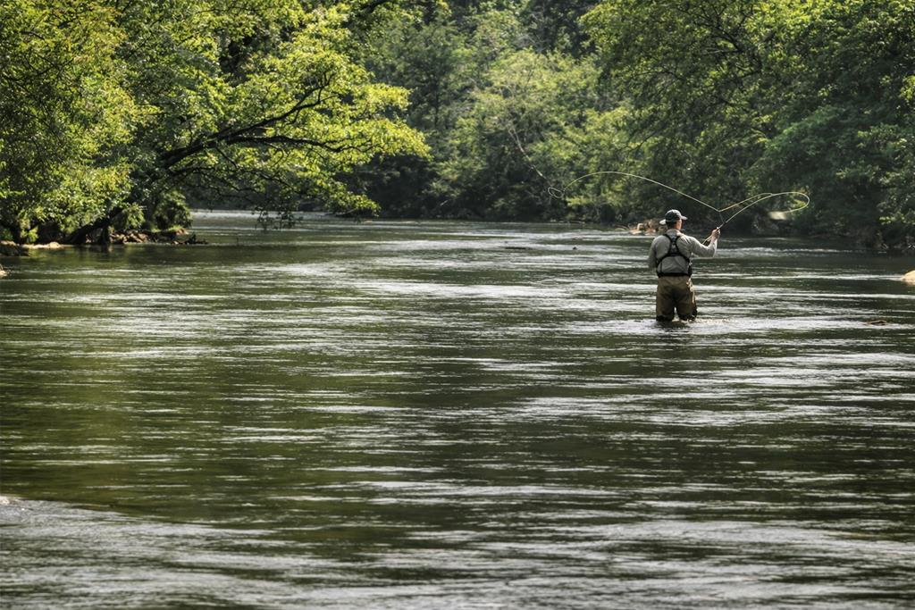 1 Riverview Circle Blue Ridge, GA 30513 - Photo 12 of 15
