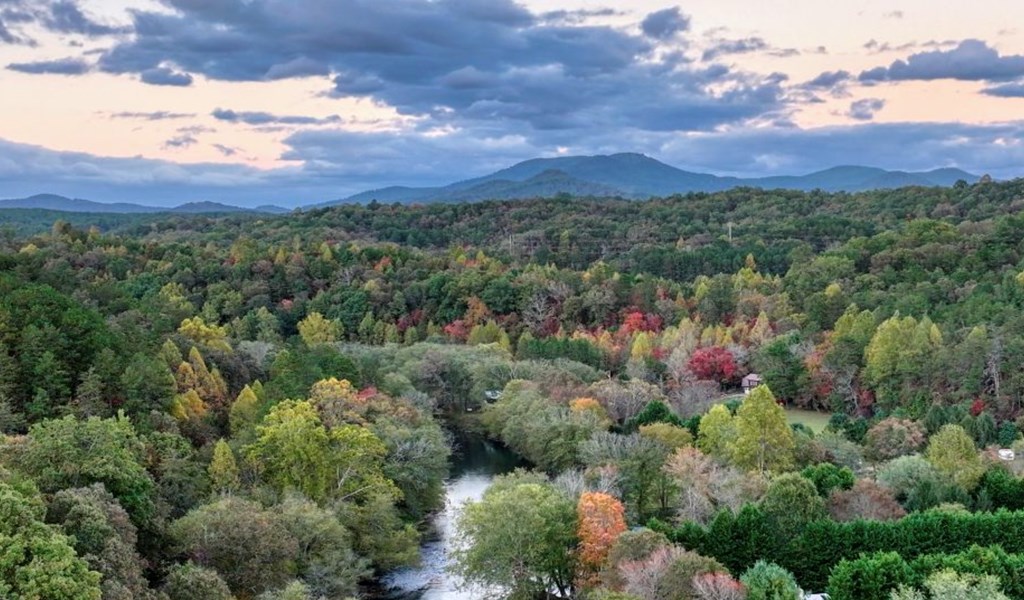 1 Riverview Circle Blue Ridge, GA 30513 - Photo 4 of 15 a view of a city with lush green forest