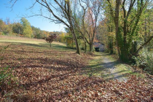 1740 Dupont Road Seymour, TN 37865 - Photo 14 of 17 Tons of space