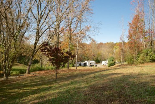 1740 Dupont Road Seymour, TN 37865 - Photo 7 of 17 Looking back to the road