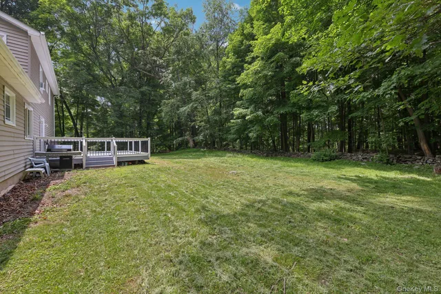 a view of outdoor space with deck and backyard