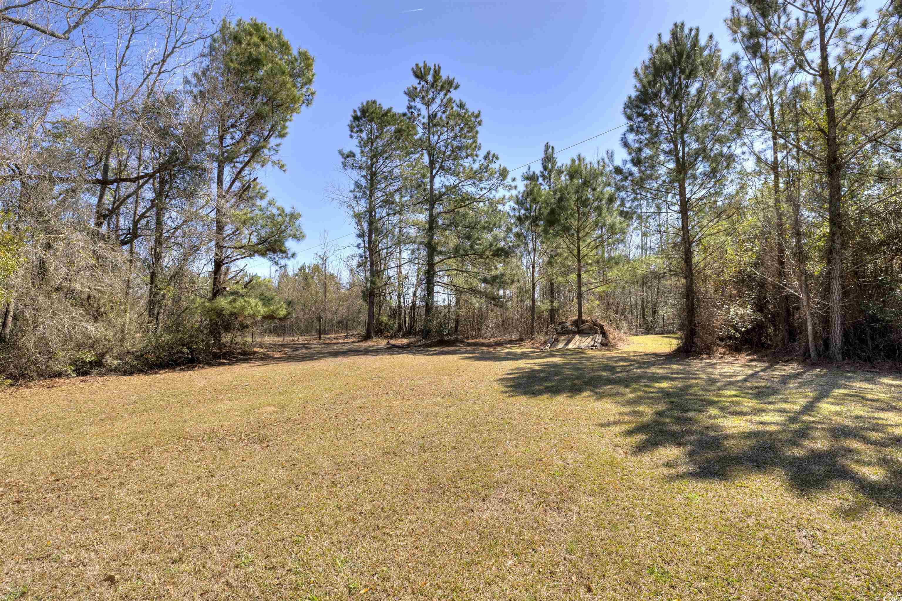 5764 Thompson Road Nichols, SC 29581 - Photo 25 of 35 View of yard
