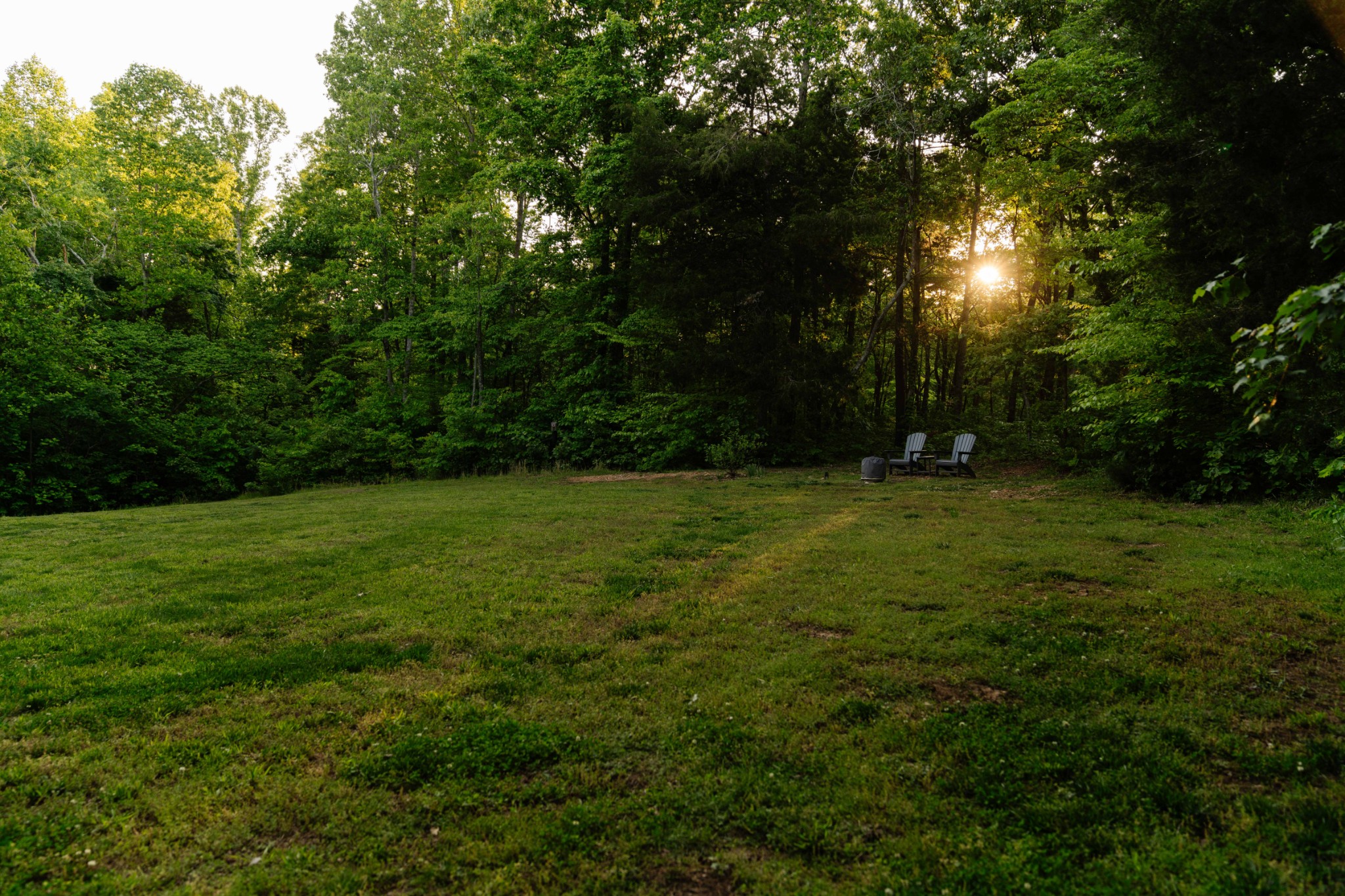 8012 Rose Rdg Lane Fairview, TN 37062 - Photo 31 of 52 a backyard of a house with lots of green space