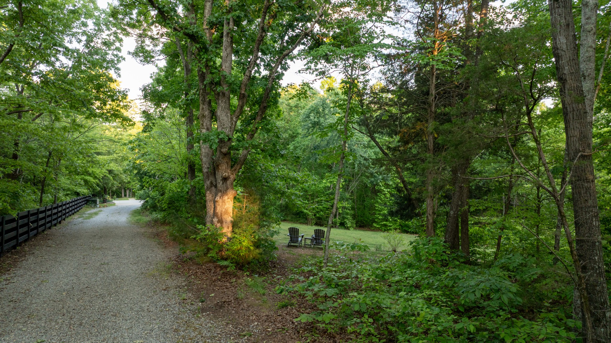 8012 Rose Rdg Lane Fairview, TN 37062 - Photo 32 of 52 a green field with lots of trees in it