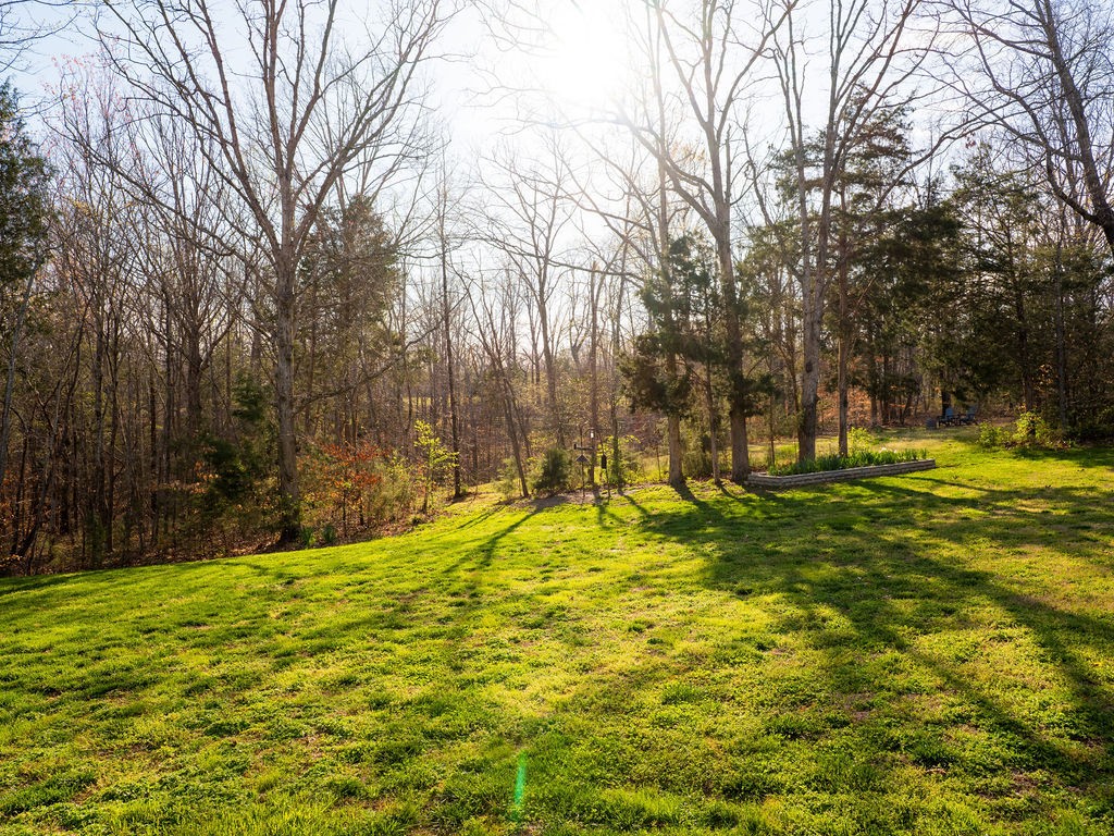 8012 Rose Rdg Lane Fairview, TN 37062 - Photo 38 of 52 a view of a yard with basketball court