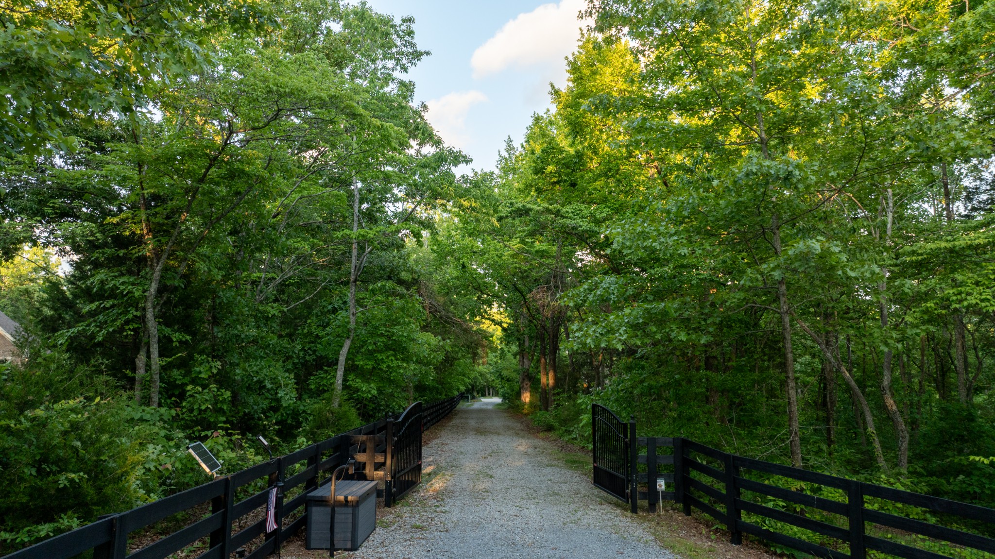 8012 Rose Rdg Lane Fairview, TN 37062 - Photo 52 of 52 a view of a forest with trees in the background