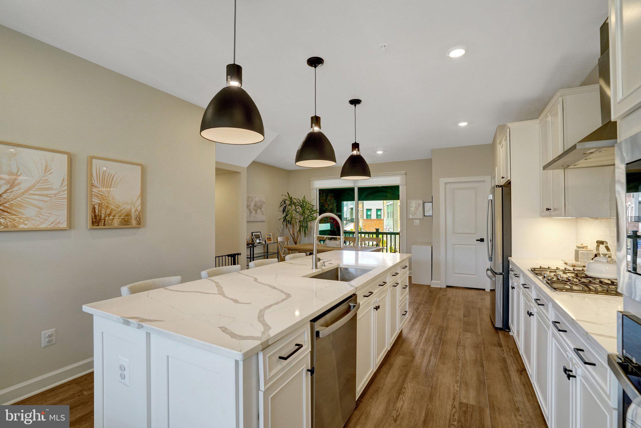 5369 8th Road South Arlington, VA 22204 - Photo 17 of 37 Modern kitchen with elegant finishes.