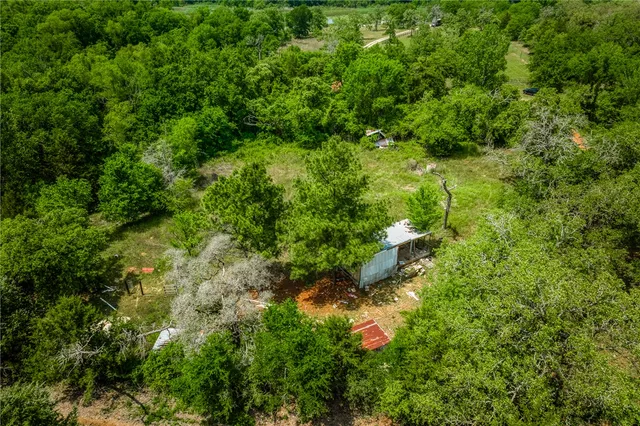 a view of a forest with a tree