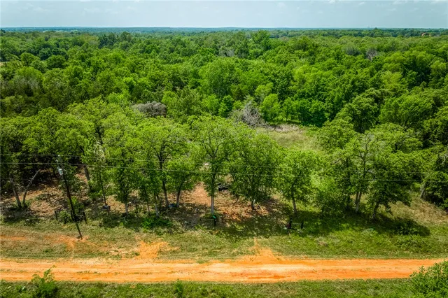 a view of backyard with green space