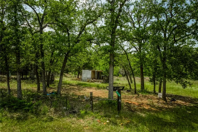 a view of backyard with green space