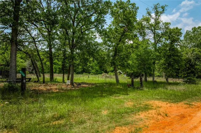 a view of a lake with a trees