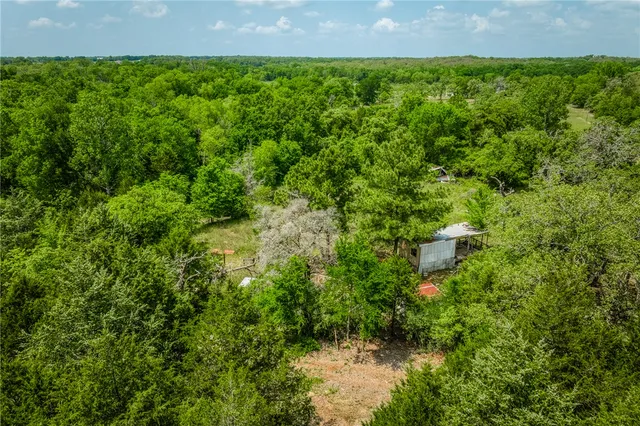 a view of a garden with a small barn