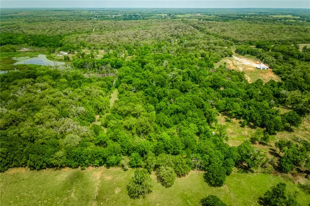 a view of a lush green forest with a lake