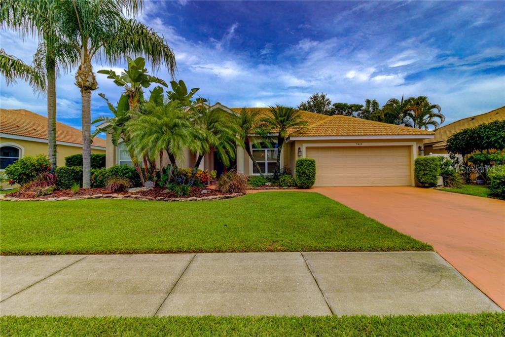 a view of a yard with palm trees