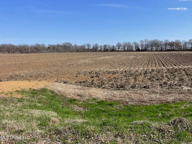 $530,915 | 540 County Road, Greenwood, MS 38930