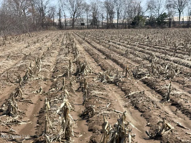 $530,915 | 540 County Road, Greenwood, MS 38930