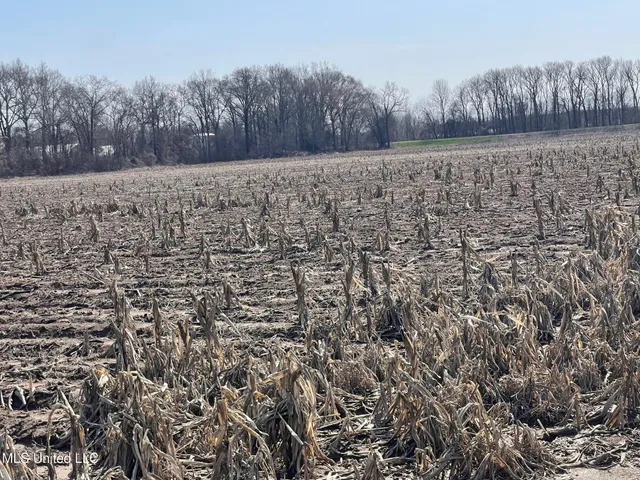 $530,915 | 540 County Road, Greenwood, MS 38930