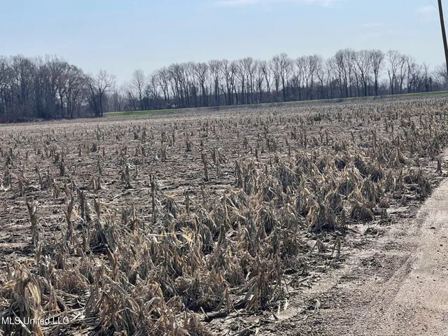 $530,915 | 540 County Road, Greenwood, MS 38930