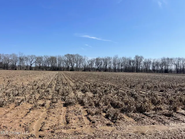 $530,915 | 540 County Road, Greenwood, MS 38930