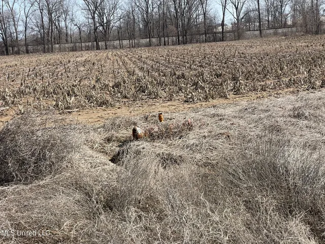 $530,915 | 540 County Road, Greenwood, MS 38930