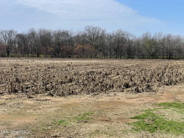 $530,915 | 540 County Road, Greenwood, MS 38930