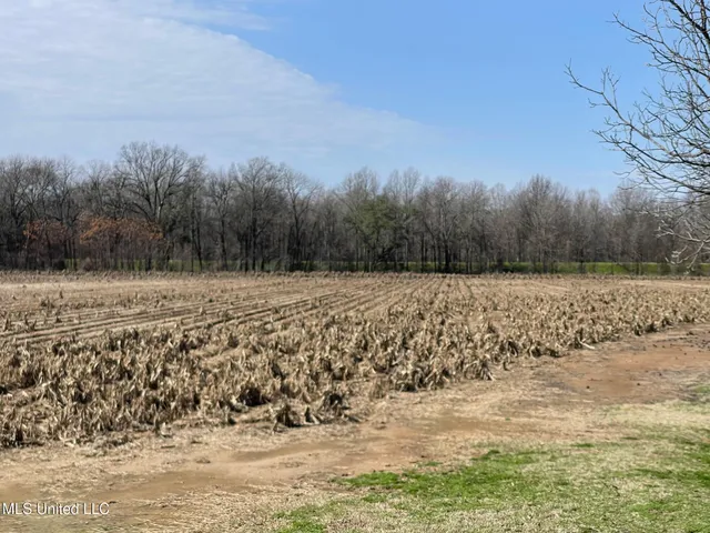 $530,915 | 540 County Road, Greenwood, MS 38930