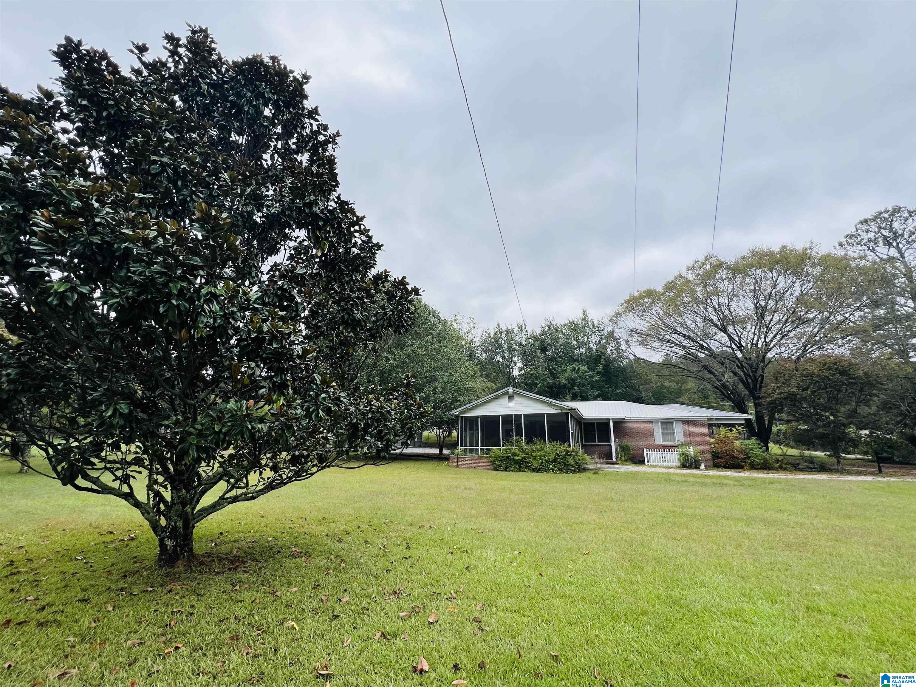 277 State Farm Road Alexandria, AL 36250 - Photo 3 of 23
