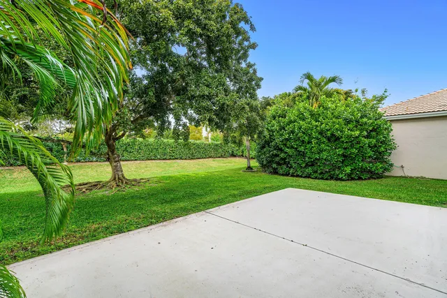 a view of field with tall trees
