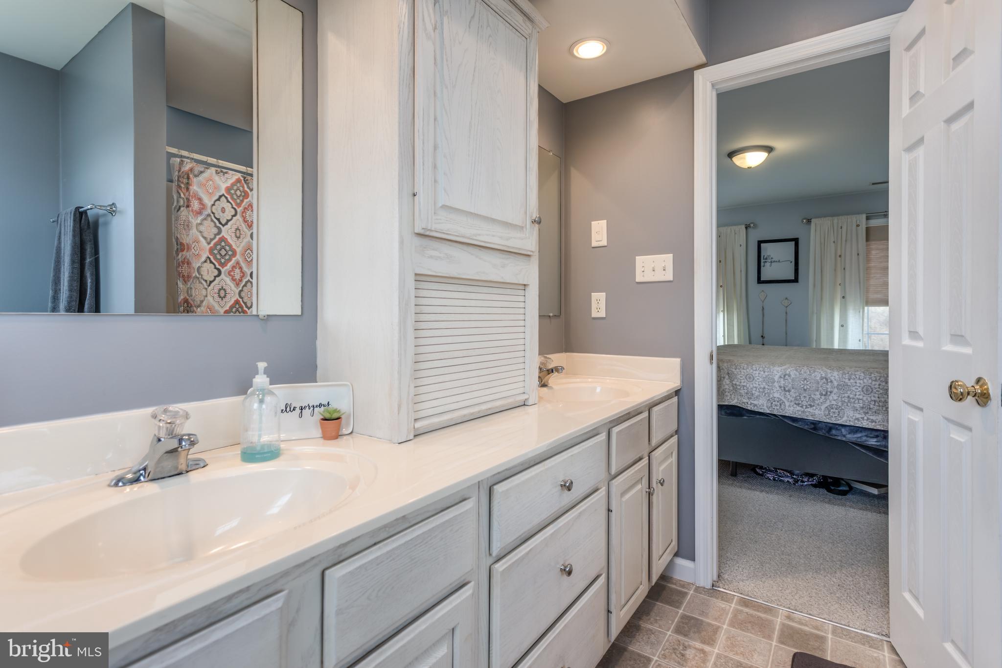 300 Frog Hollow Road Winchester, VA 22603 - Photo 25 of 53 master bath
