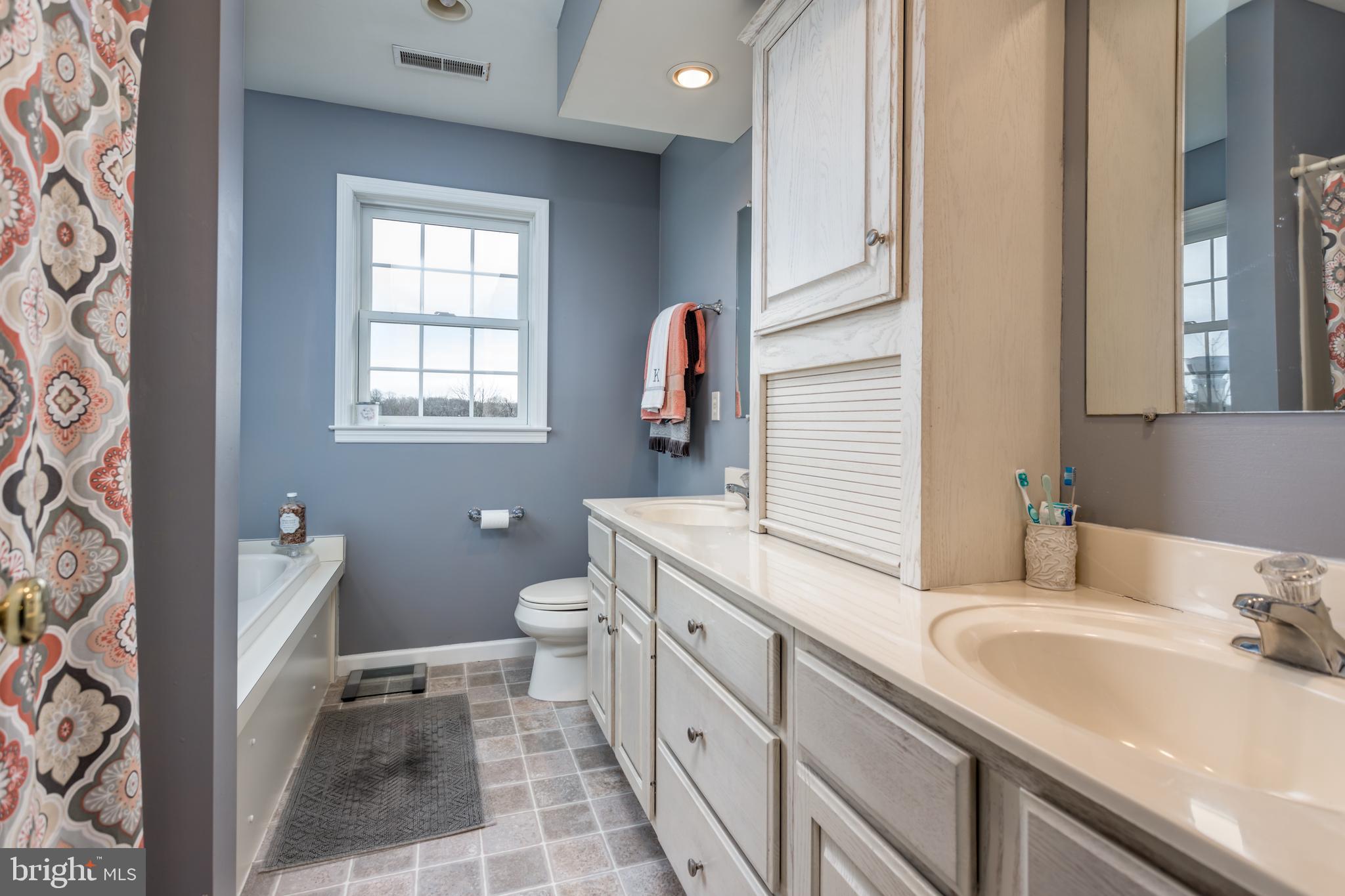 300 Frog Hollow Road Winchester, VA 22603 - Photo 26 of 53 separate tub and shower