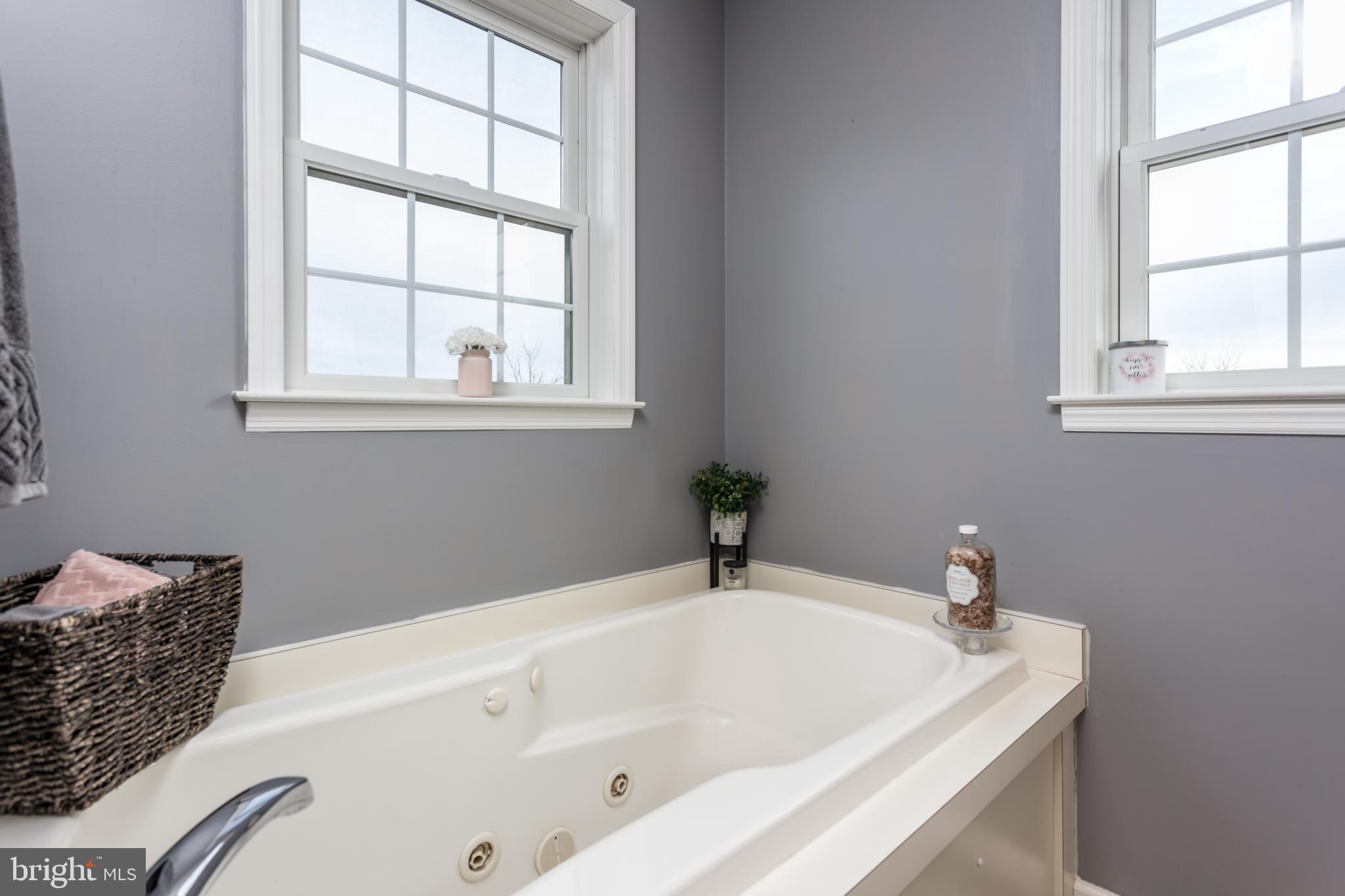 300 Frog Hollow Road Winchester, VA 22603 - Photo 27 of 53 separate jetted soaking tub