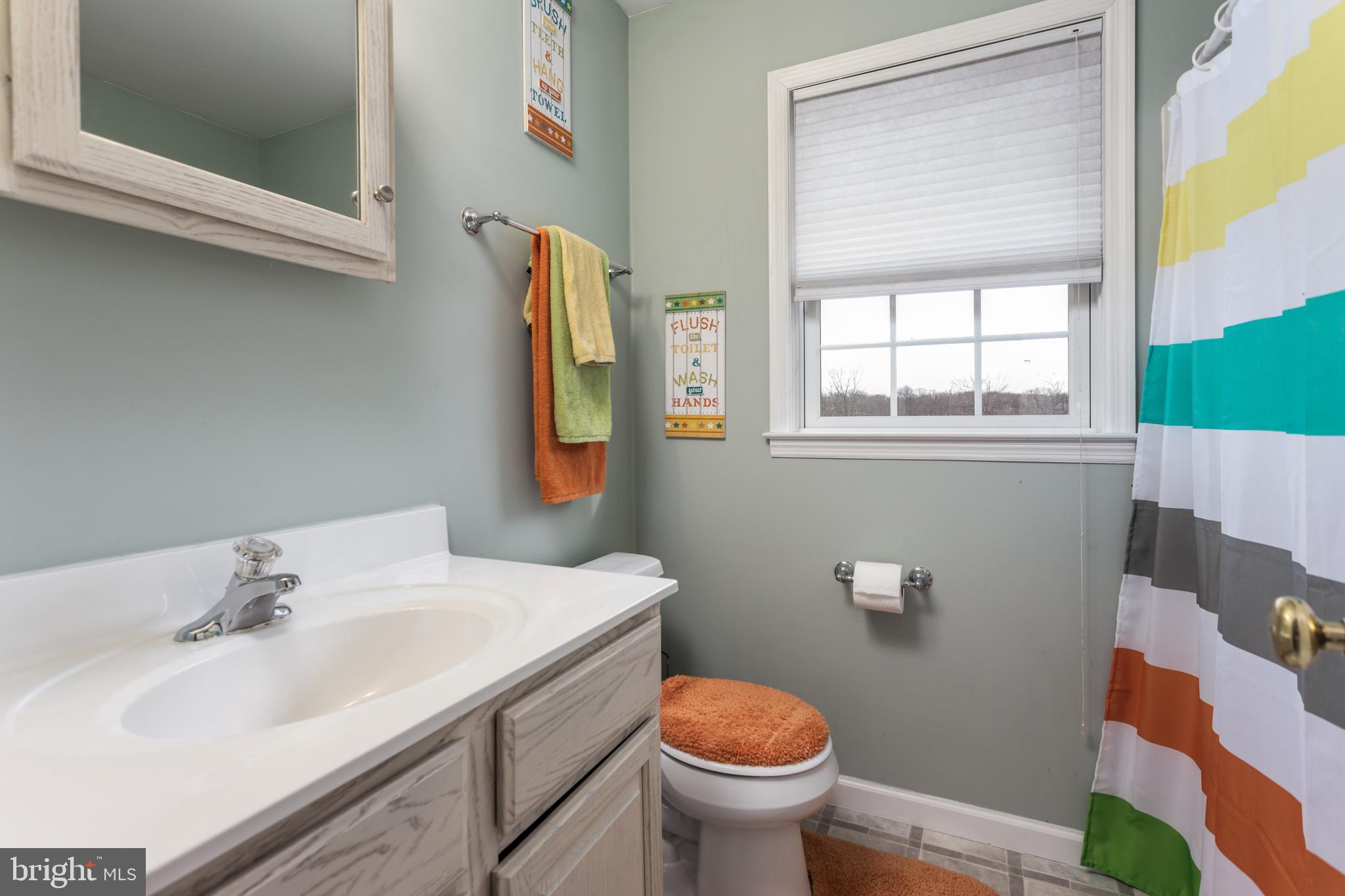 300 Frog Hollow Road Winchester, VA 22603 - Photo 31 of 53 2nd upstairs full bath