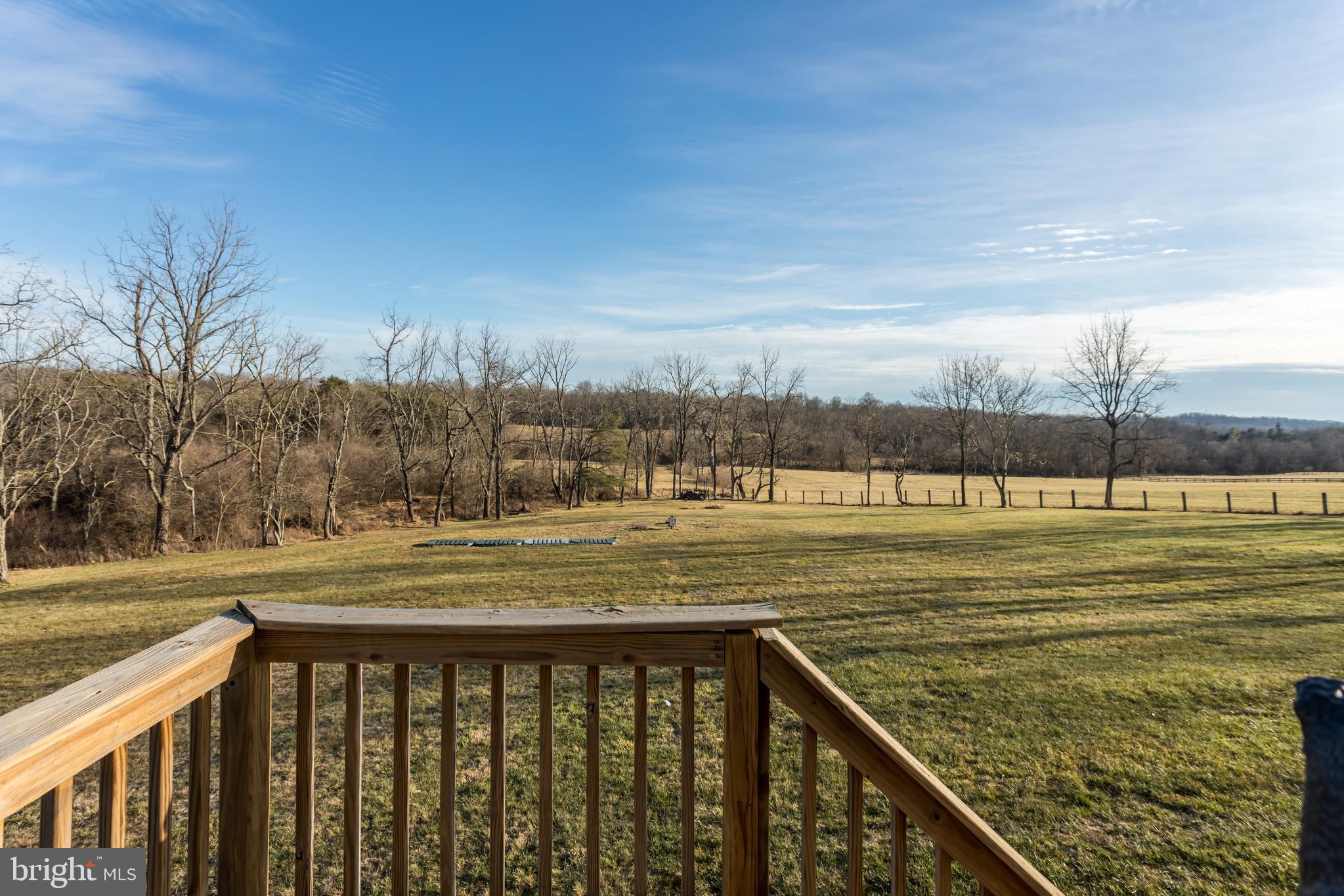 300 Frog Hollow Road Winchester, VA 22603 - Photo 40 of 53 back yard