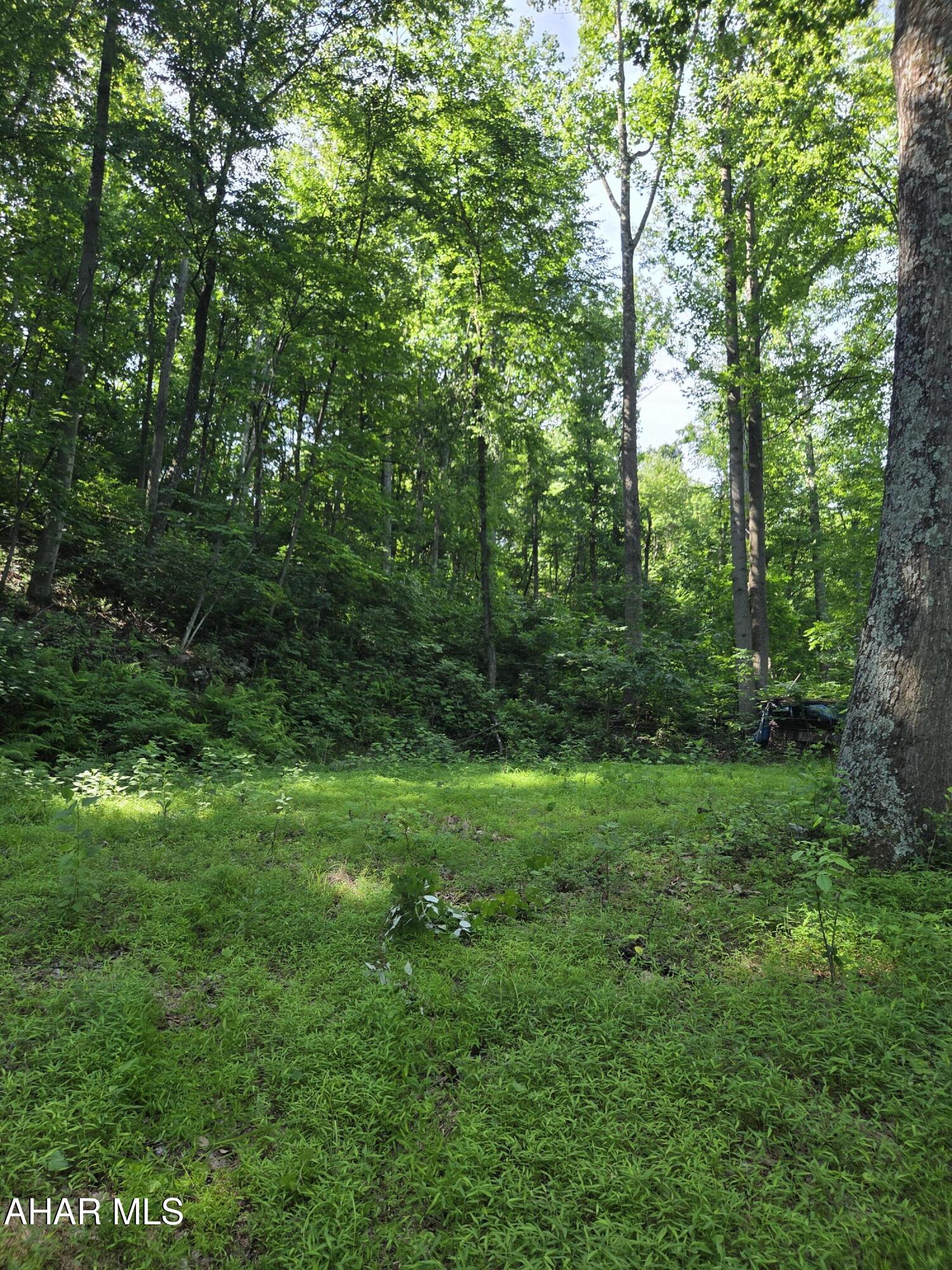 0 Sugar Ridge Road McVeytown, PA 17051 - Photo 15 of 19