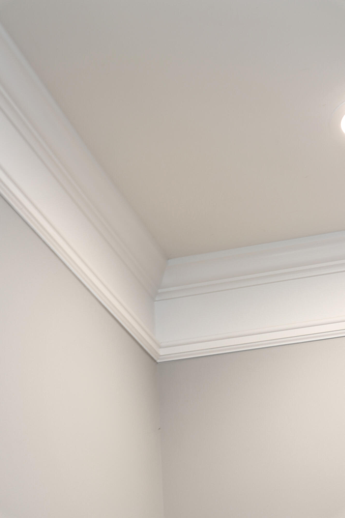 949 Dills Bluff Road Charleston, SC 29412 - Photo 24 of 40 Trim Details