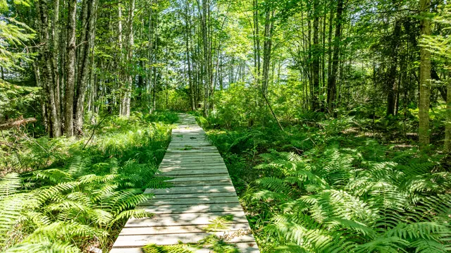 $320,000 | 7 9th, Ellsworth, ME 04605