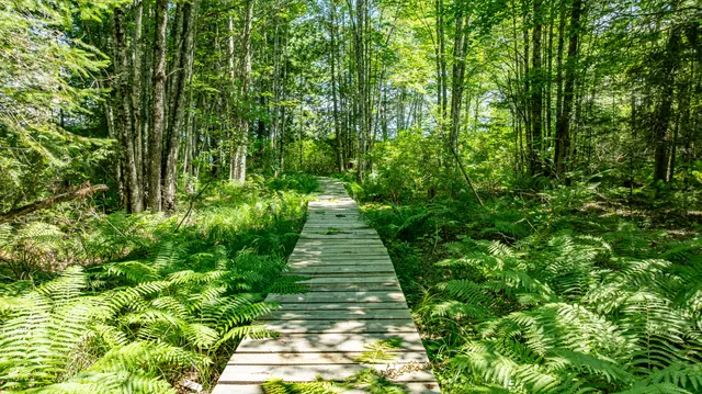 $320,000 | 7 9th, Ellsworth, ME 04605