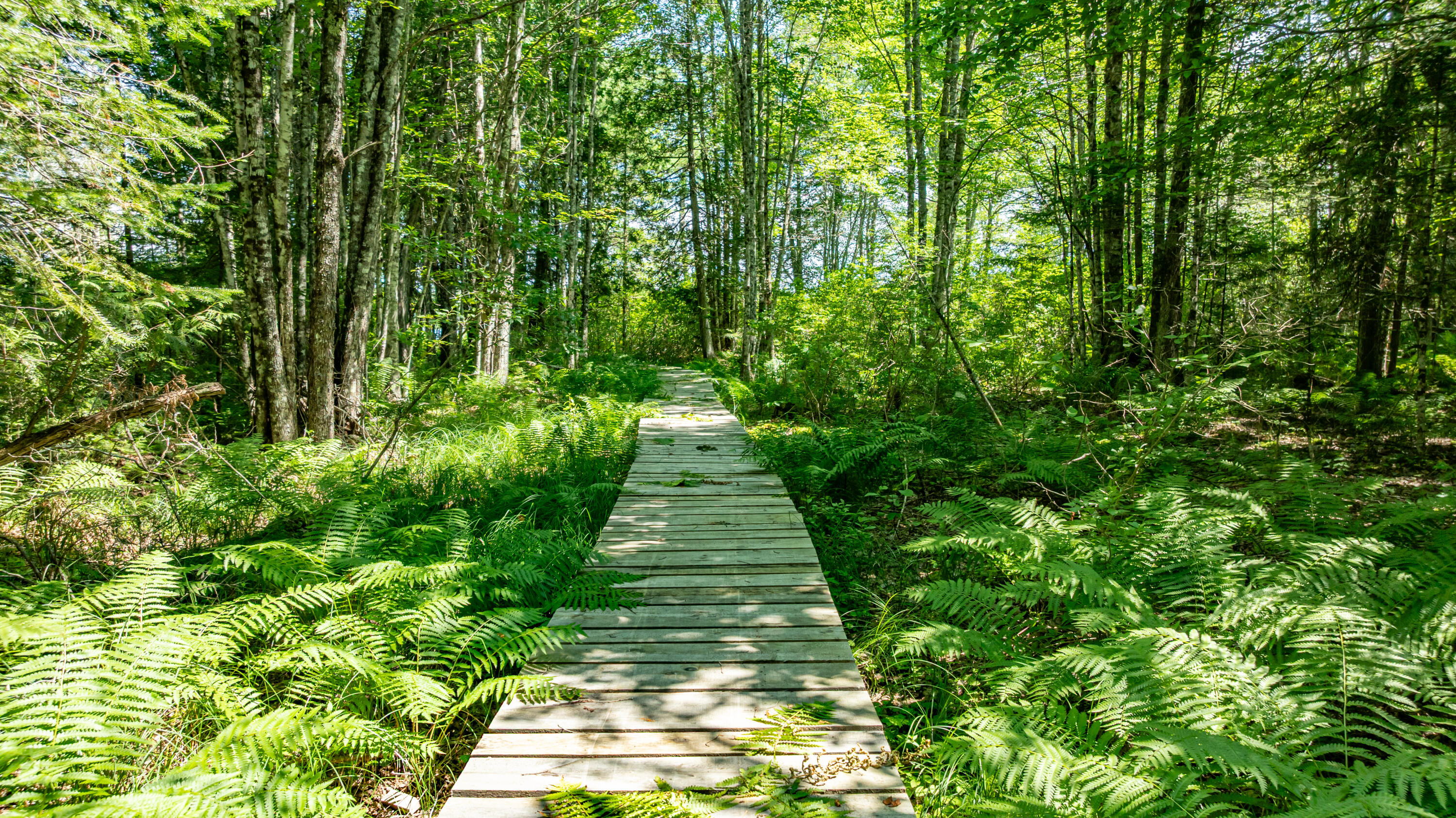 7 9th Ellsworth, ME 04605 - Photo 13 of 15 Boardwalk