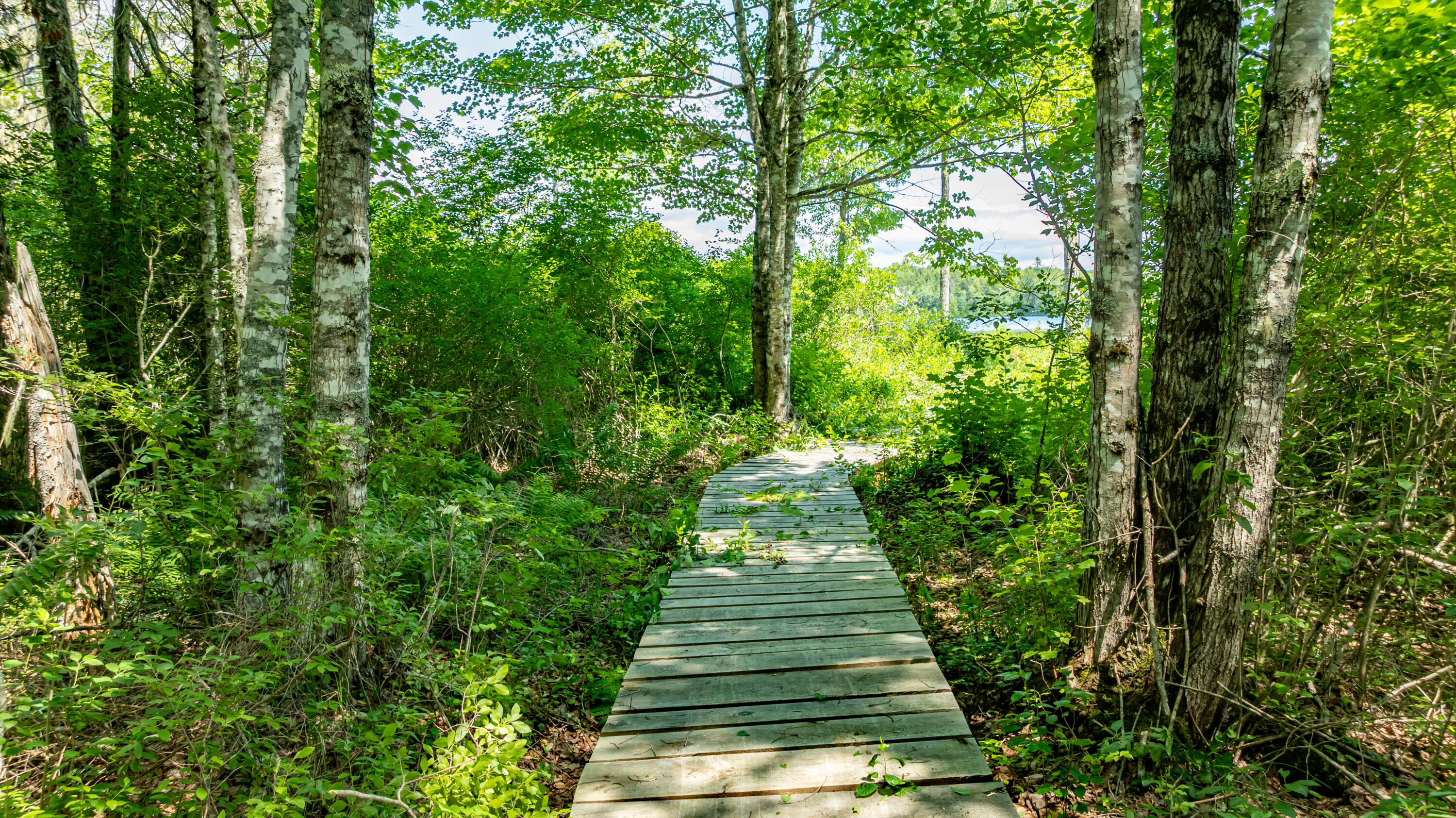 7 9th Ellsworth, ME 04605 - Photo 14 of 15 Boardwalk
