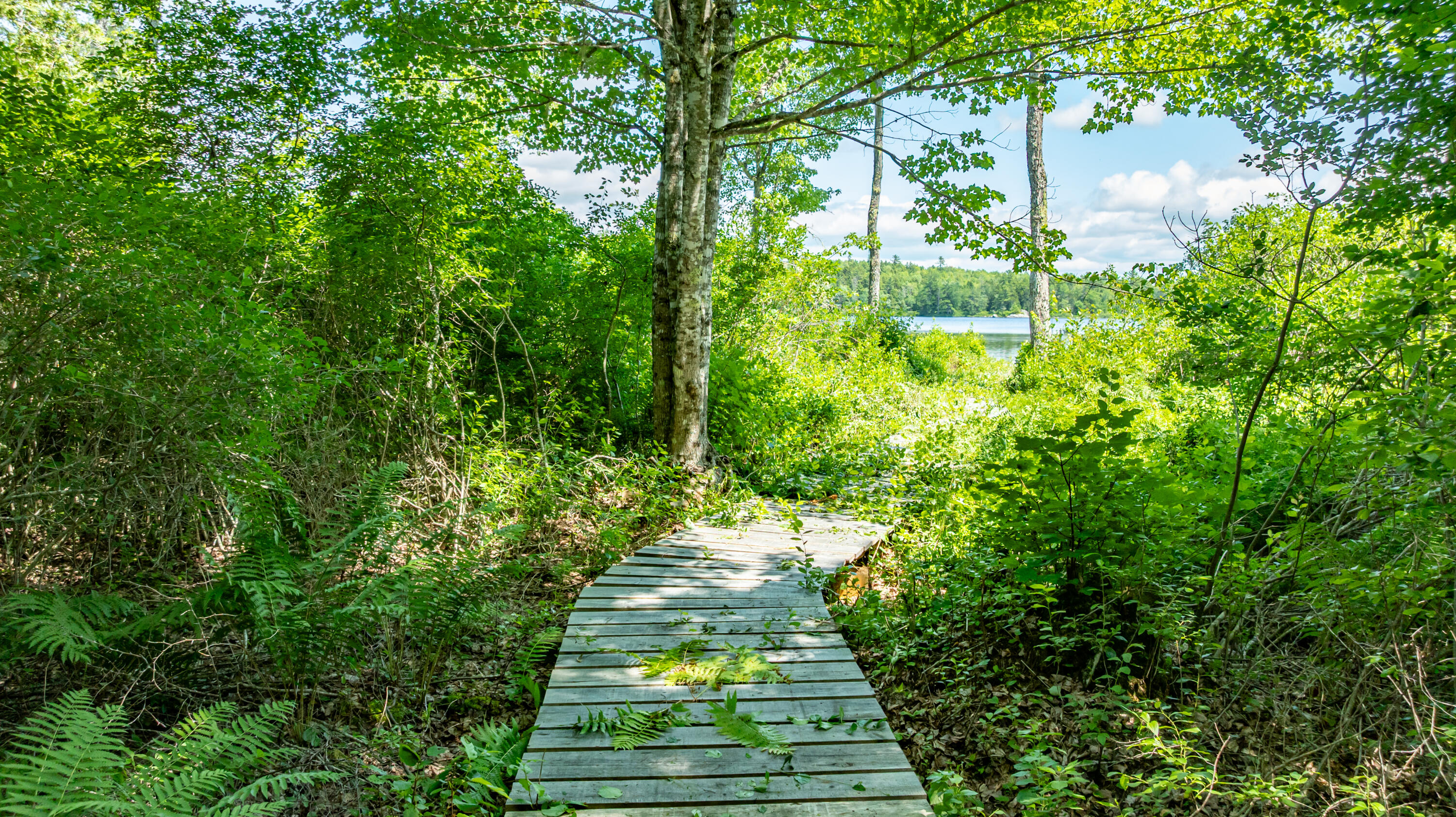 7 9th Ellsworth, ME 04605 - Photo 15 of 15 Boardwalk