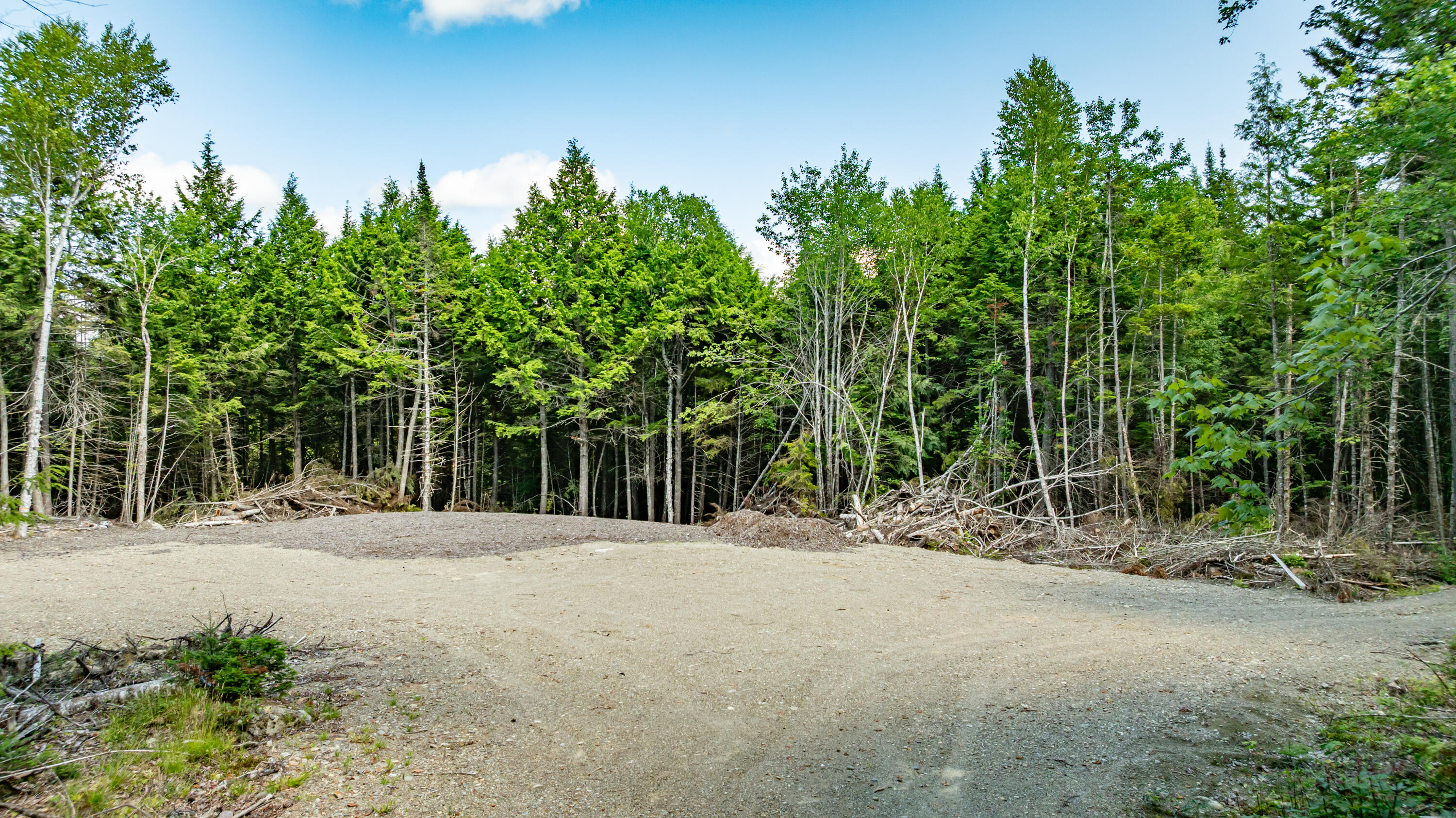 7 9th Ellsworth, ME 04605 - Photo 3 of 15 House lot with septic