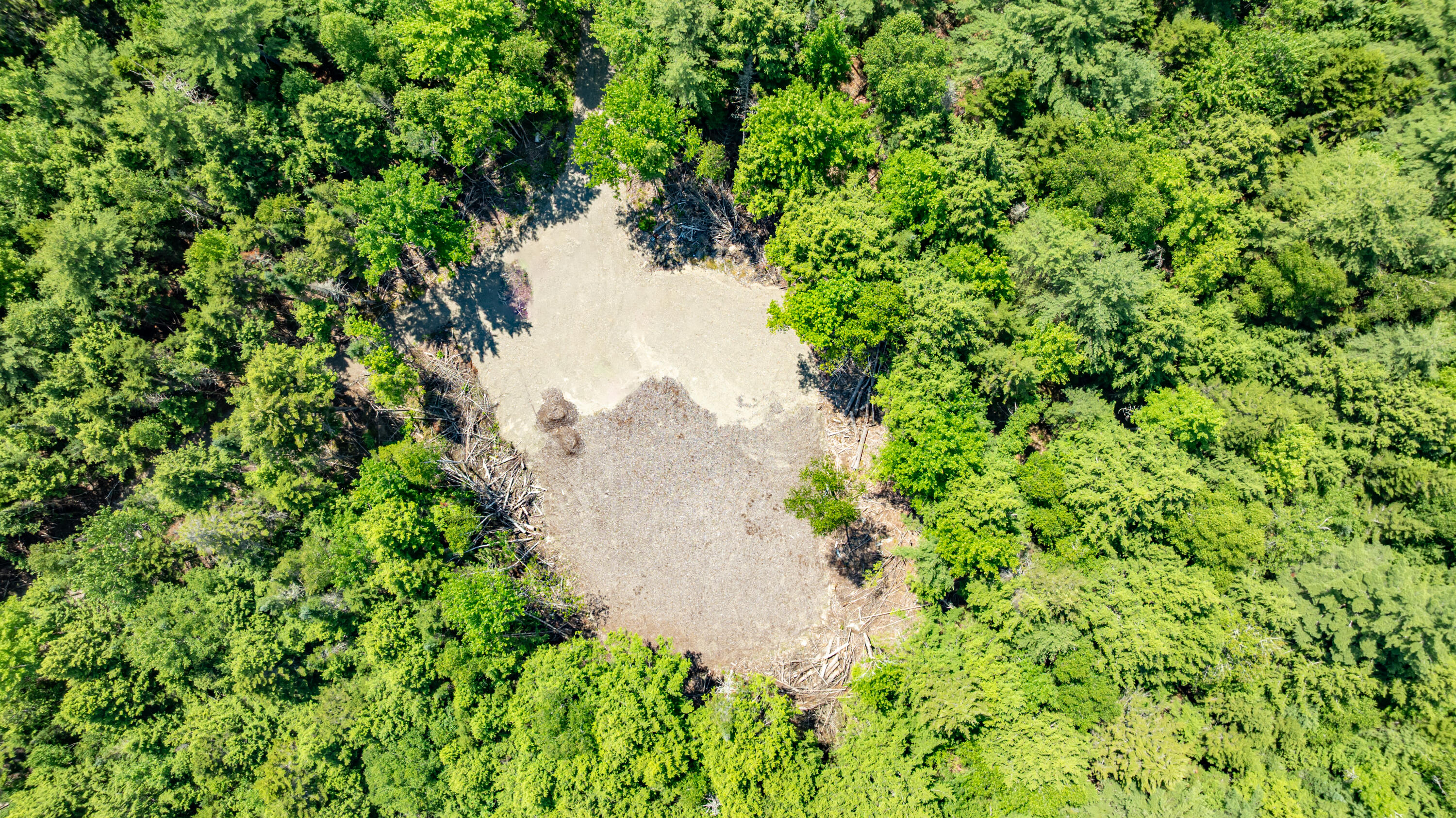 7 9th Ellsworth, ME 04605 - Photo 4 of 15 Aerial of house lot