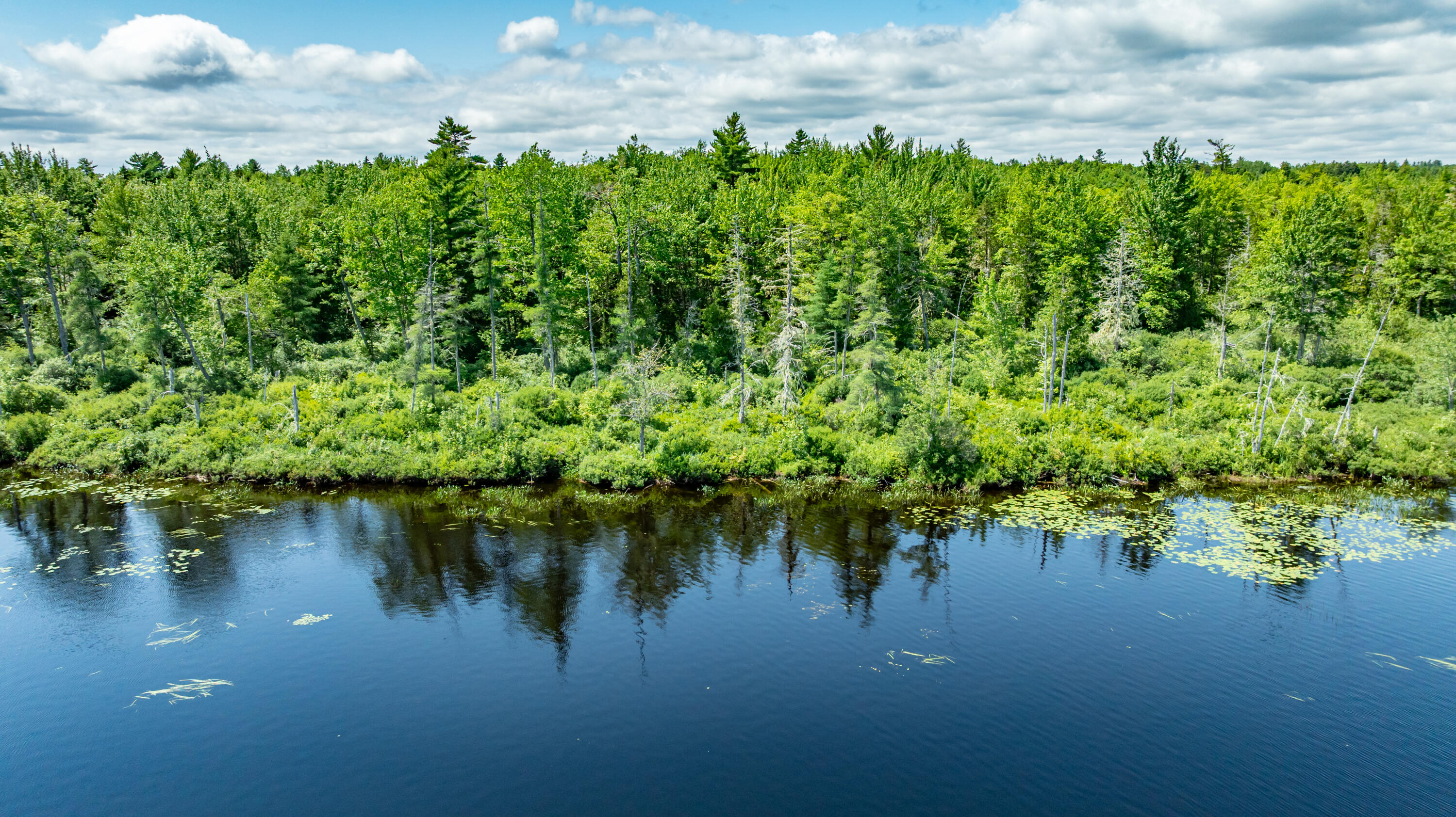 7 9th Ellsworth, ME 04605 - Photo 7 of 15 Aerial