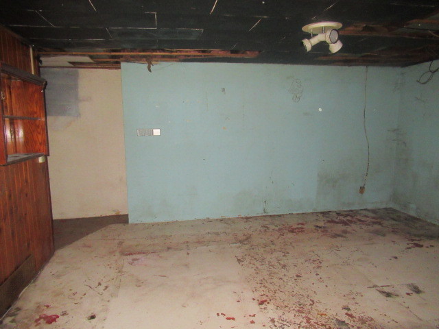 211 South Lafayette Street Byron, IL 61010 - Photo 20 of 26 a view of a room with an empty space