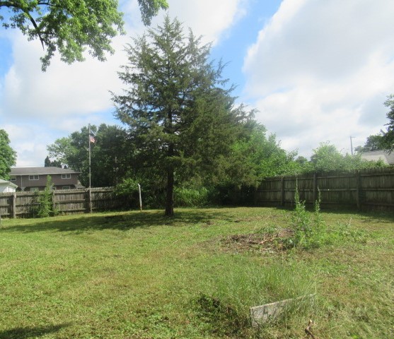 211 South Lafayette Street Byron, IL 61010 - Photo 26 of 26 a view of a backyard