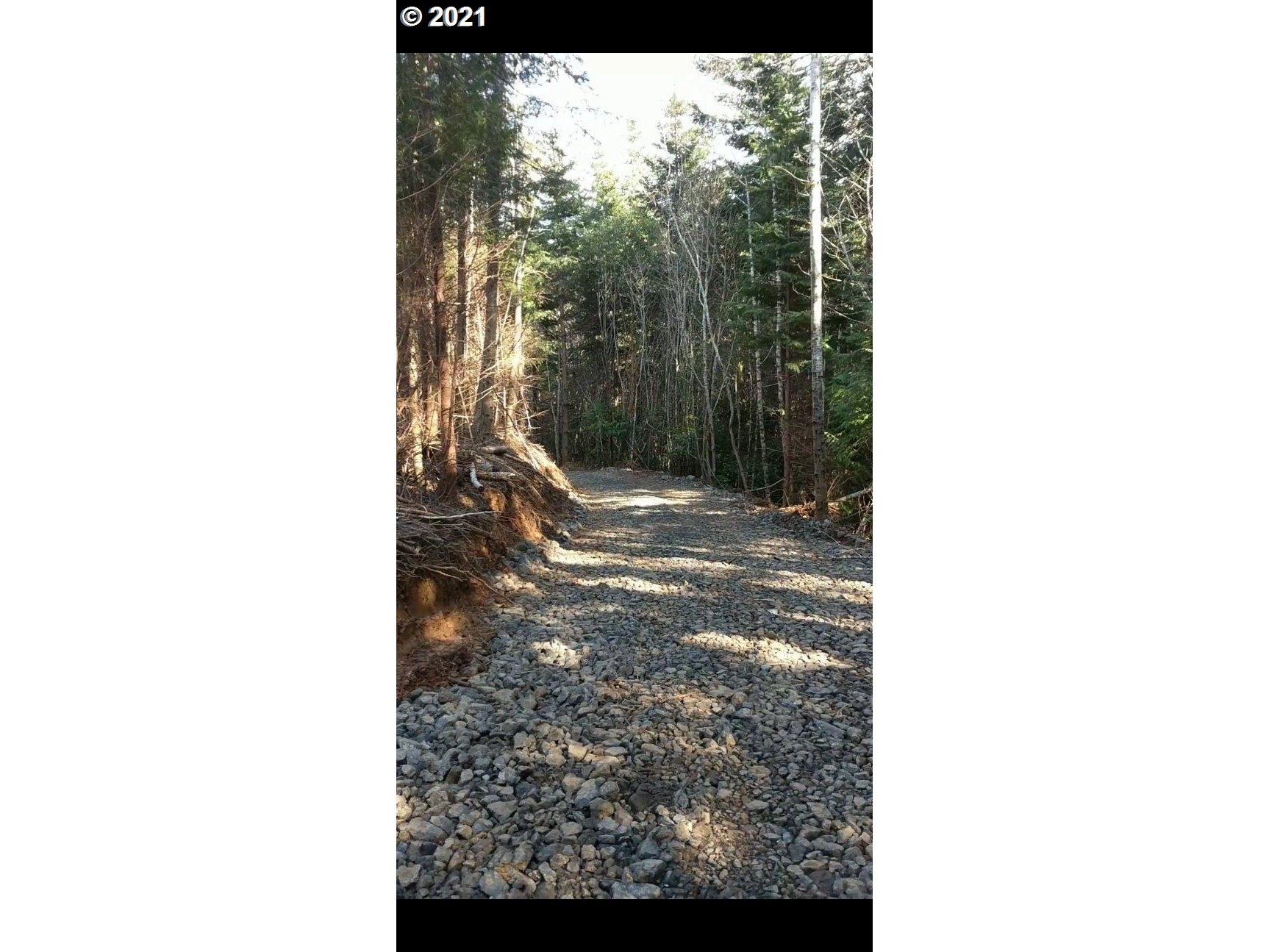 Cedar Valley Gold Beach, OR 97444 - Photo 4 of 9