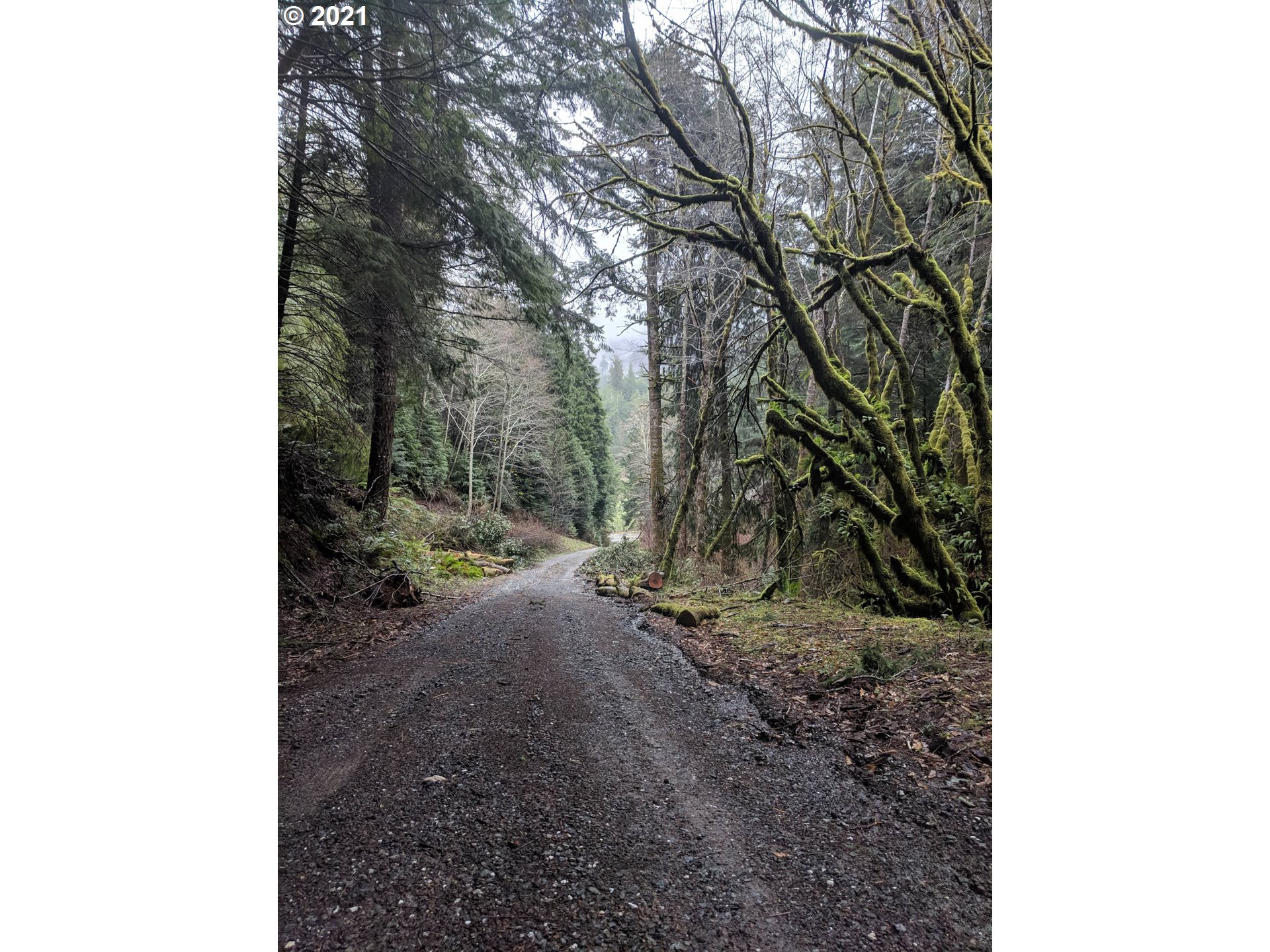 Cedar Valley Gold Beach, OR 97444 - Photo 5 of 9